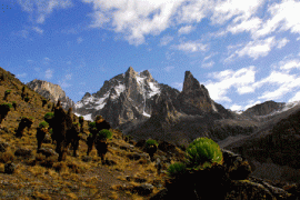 5 days mount kenya climbing sirimon route