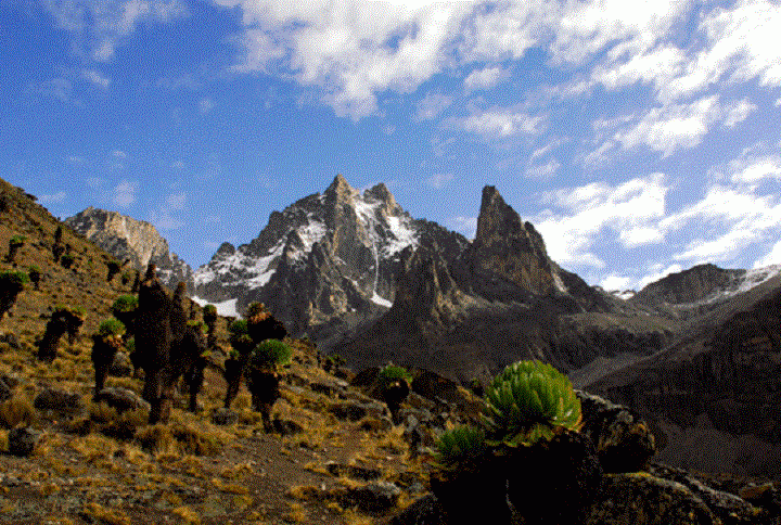 5 days mount kenya climbing sirimon route