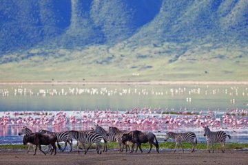 6 days tanzania safari holiday