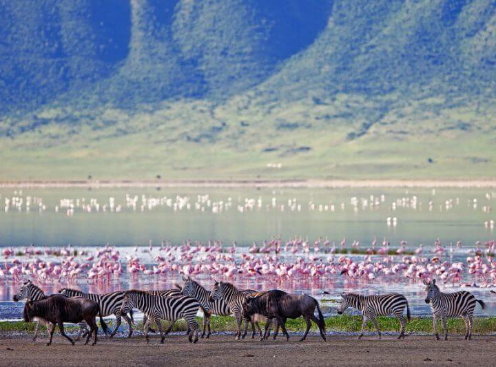 6 days tanzania safari holiday