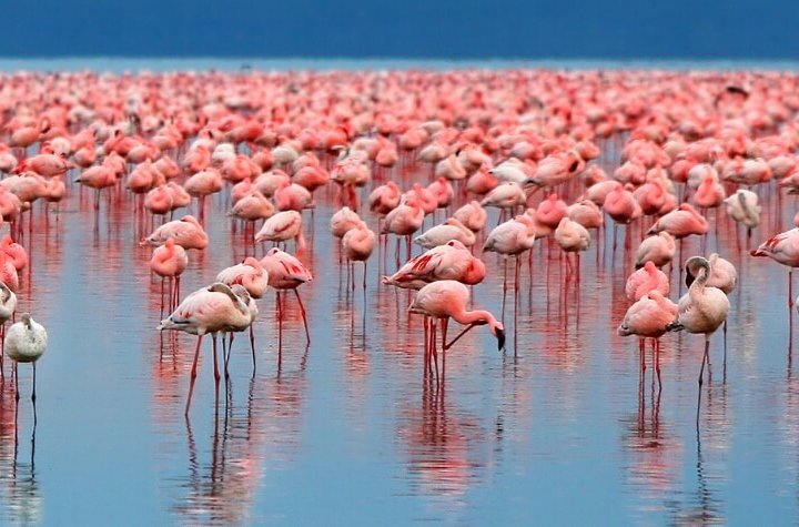 4 day safari tanzania