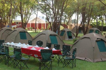 4 days tanzania group join safari