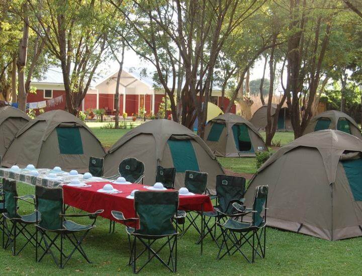 4 days tanzania group join safari