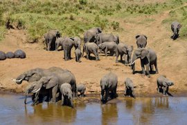 tanzania safari adventure 3 days