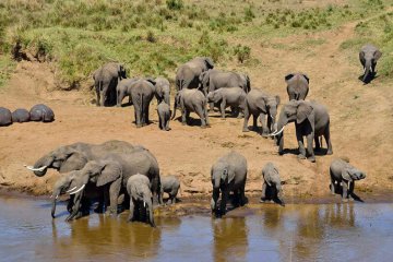 tanzania safari adventure 3 days