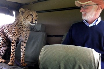 4 days lodge safari kenya