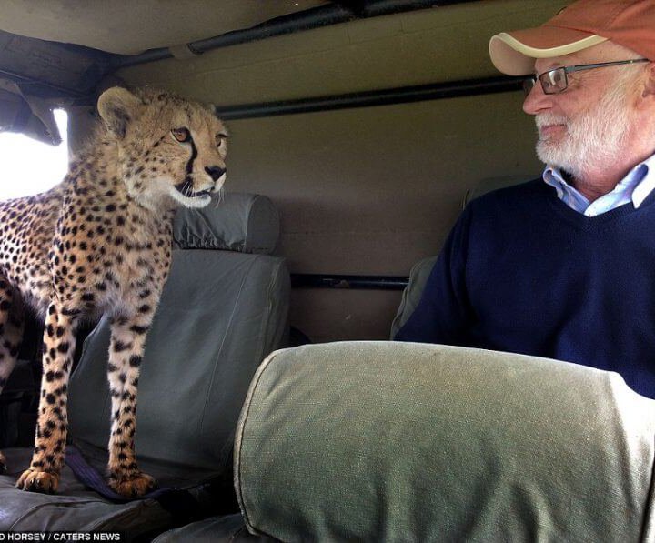 4 days lodge safari kenya