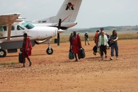 masai mara flying safari from nairobi