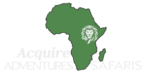 Acquire Adventures Safaris